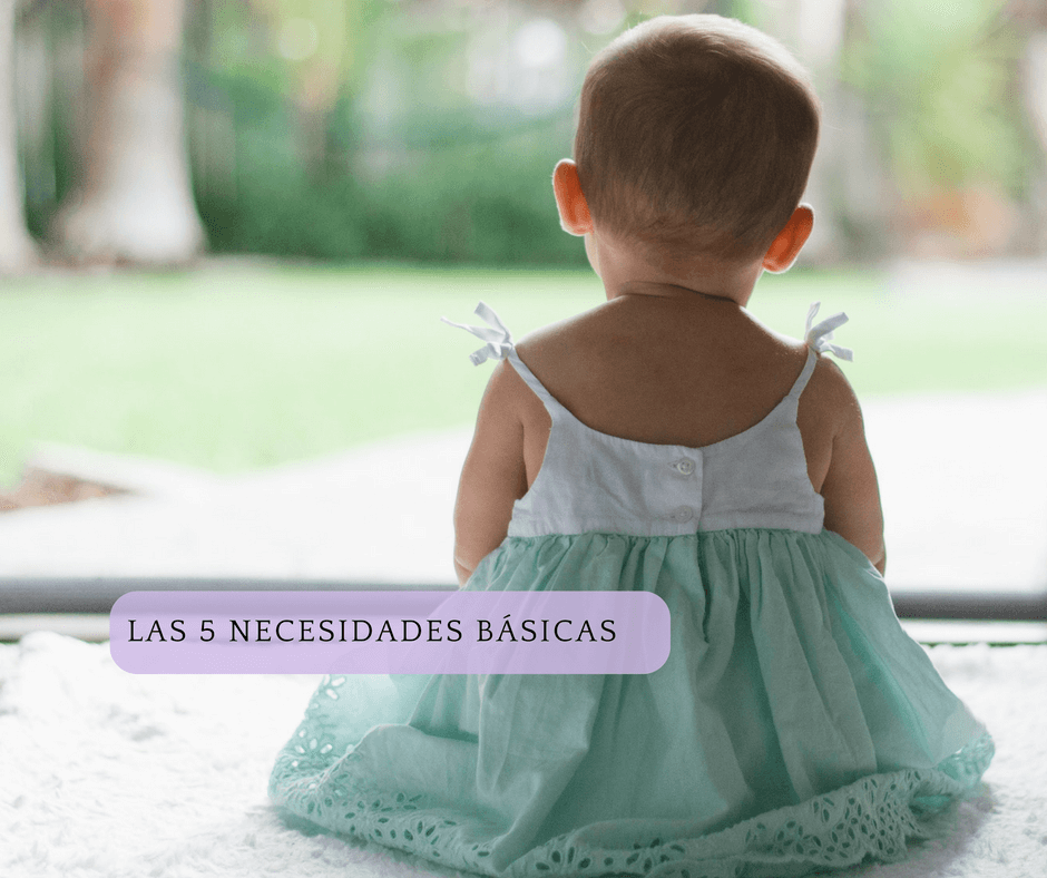 Las cinco necesidades básicas (y lo que pasa cuando no las obtenemos)